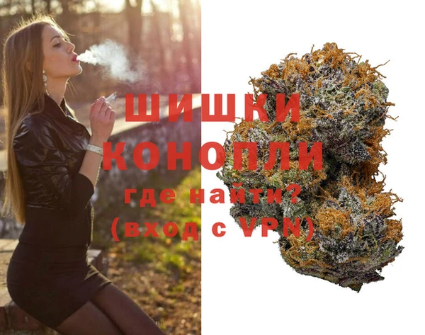 PSILOCYBIN Волосово