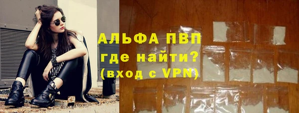 PSILOCYBIN Волосово