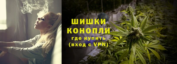 PSILOCYBIN Волосово