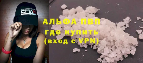 PSILOCYBIN Волосово