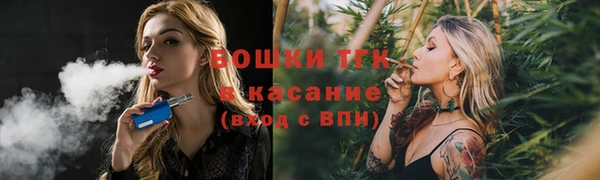 PSILOCYBIN Волосово