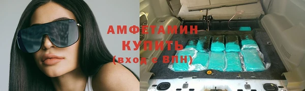 PSILOCYBIN Волосово