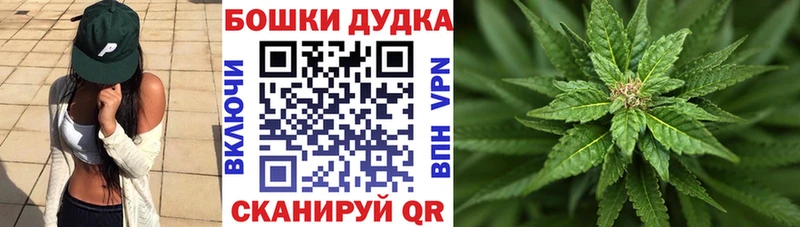 Бошки марихуана VHQ Бологое